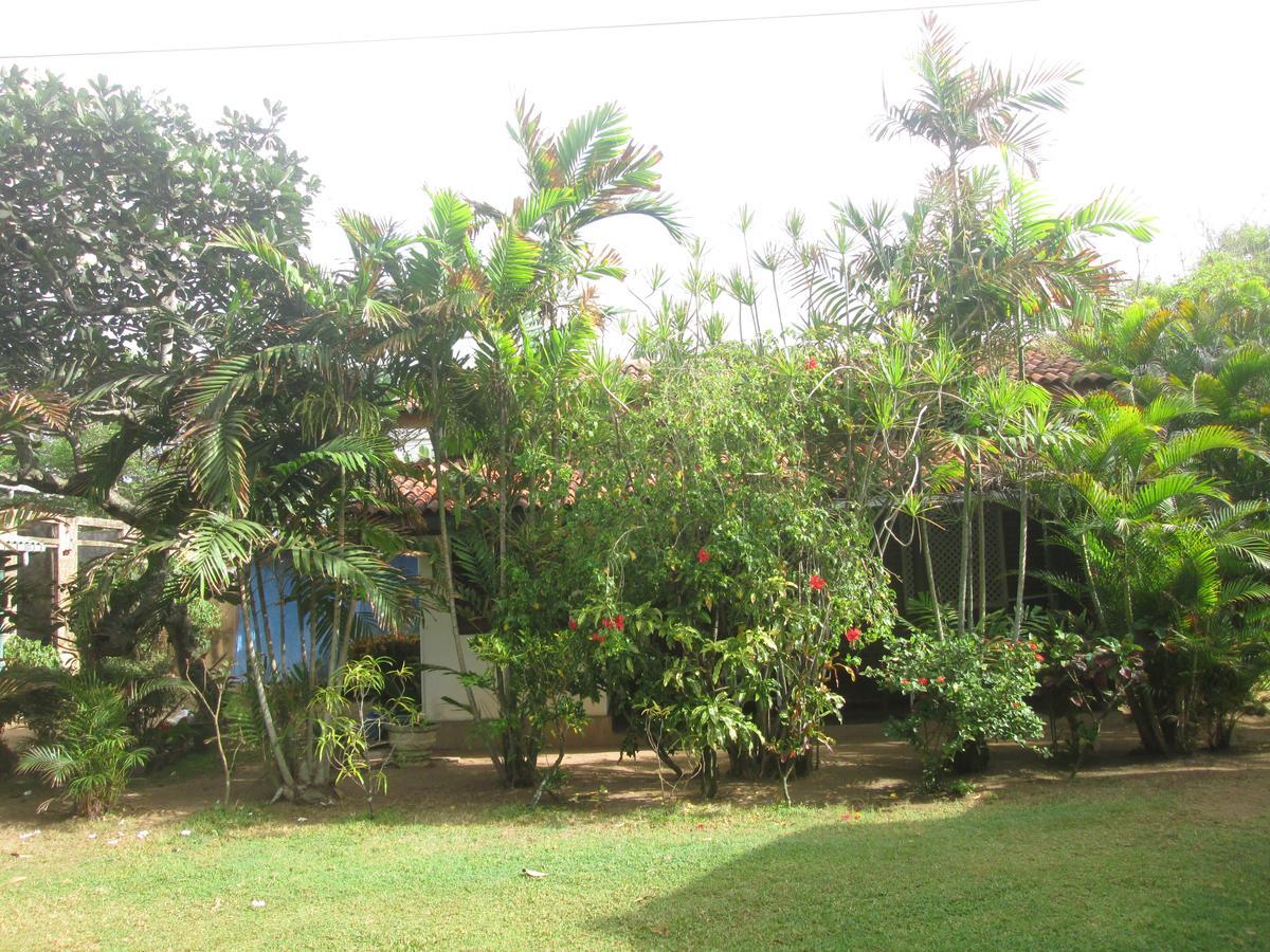 Cottage Garden Bungalows Moratuwa Exteriör bild